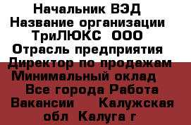 Начальник ВЭД › Название организации ­ ТриЛЮКС, ООО › Отрасль предприятия ­ Директор по продажам › Минимальный оклад ­ 1 - Все города Работа » Вакансии   . Калужская обл.,Калуга г.